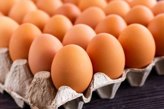 Egg Quality Inspection and Classification