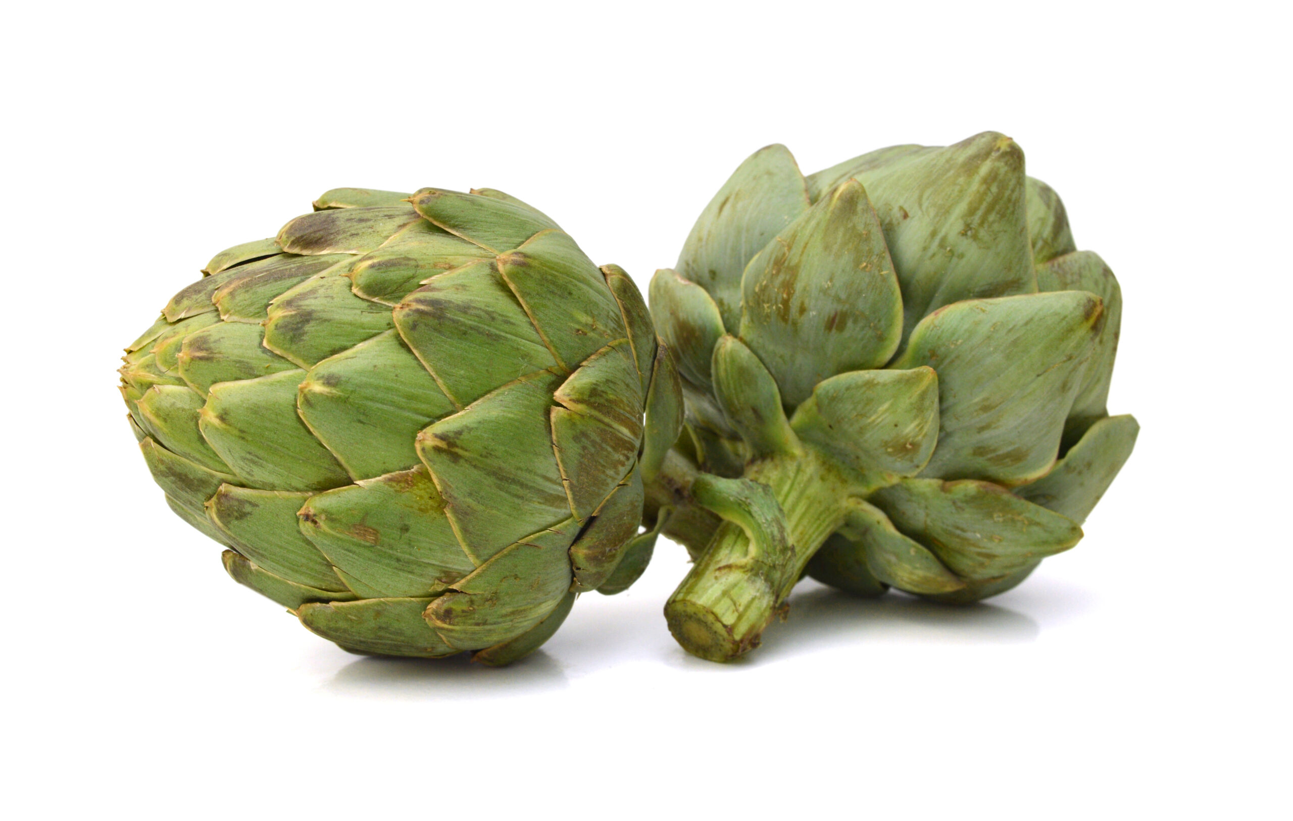 Green artichoke on white background