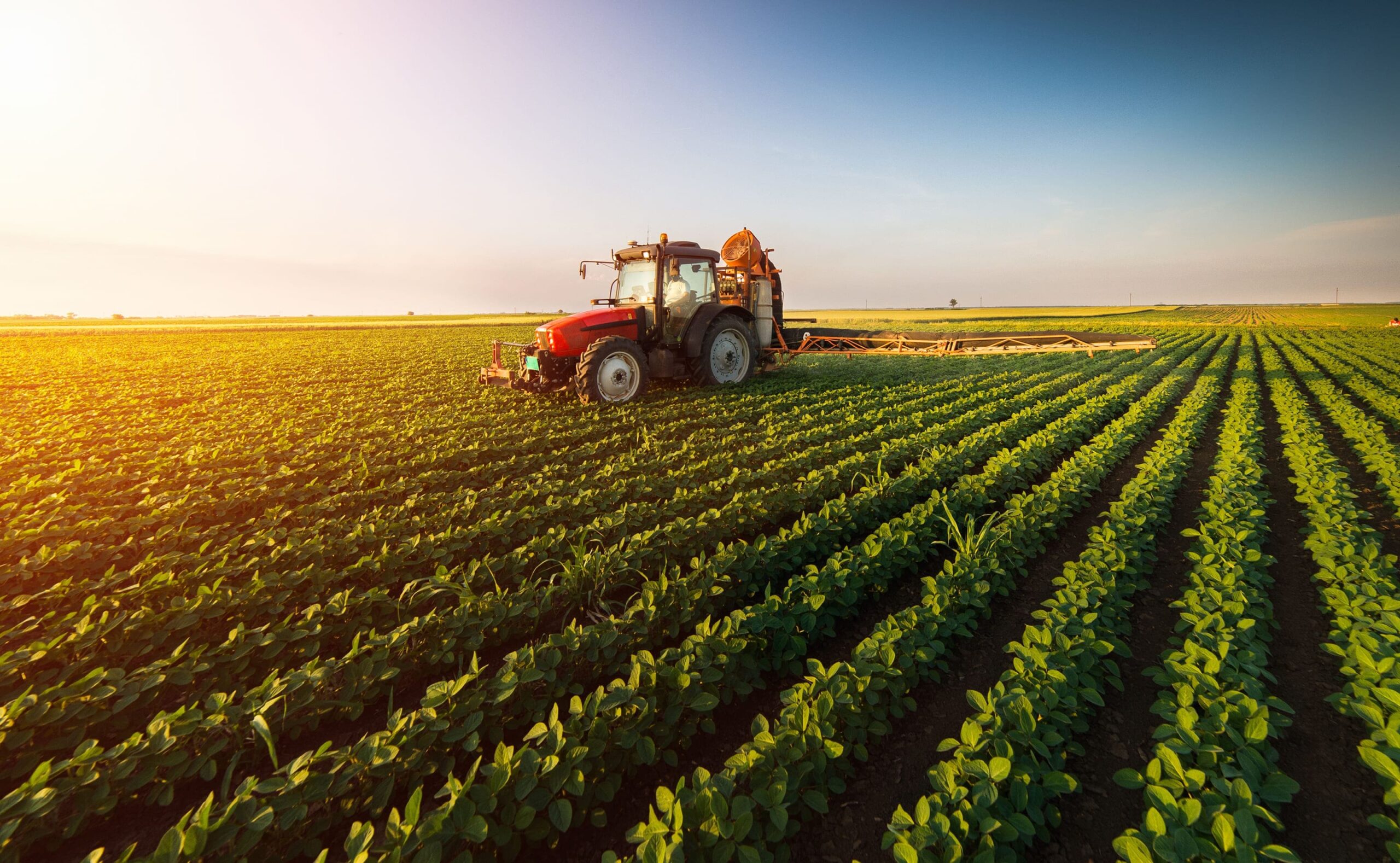 a red tractor ploughing a field of green crops during sunrise