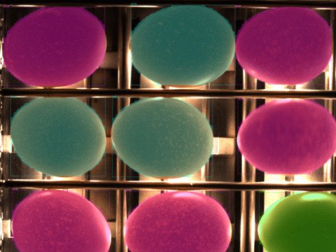 Automated egg classification using SolVision AI vision software, showing bounding box overlays (magenta, teal, green) to categorize individual eggs for quality control and sorting.
