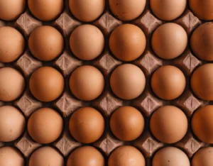 Brown chicken eggs arranged in a tray, representing eggshell quality inspection and grading before distribution.