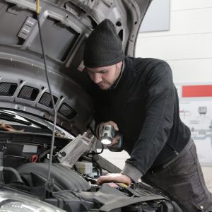 Recognition of Automobile Identification Numbers