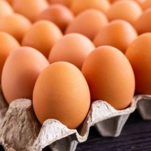AI Inspection of Eggs