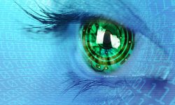 eye iris and  circuit binary internet concept