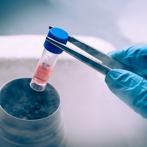 AI Visual Identification and Classification of Cells