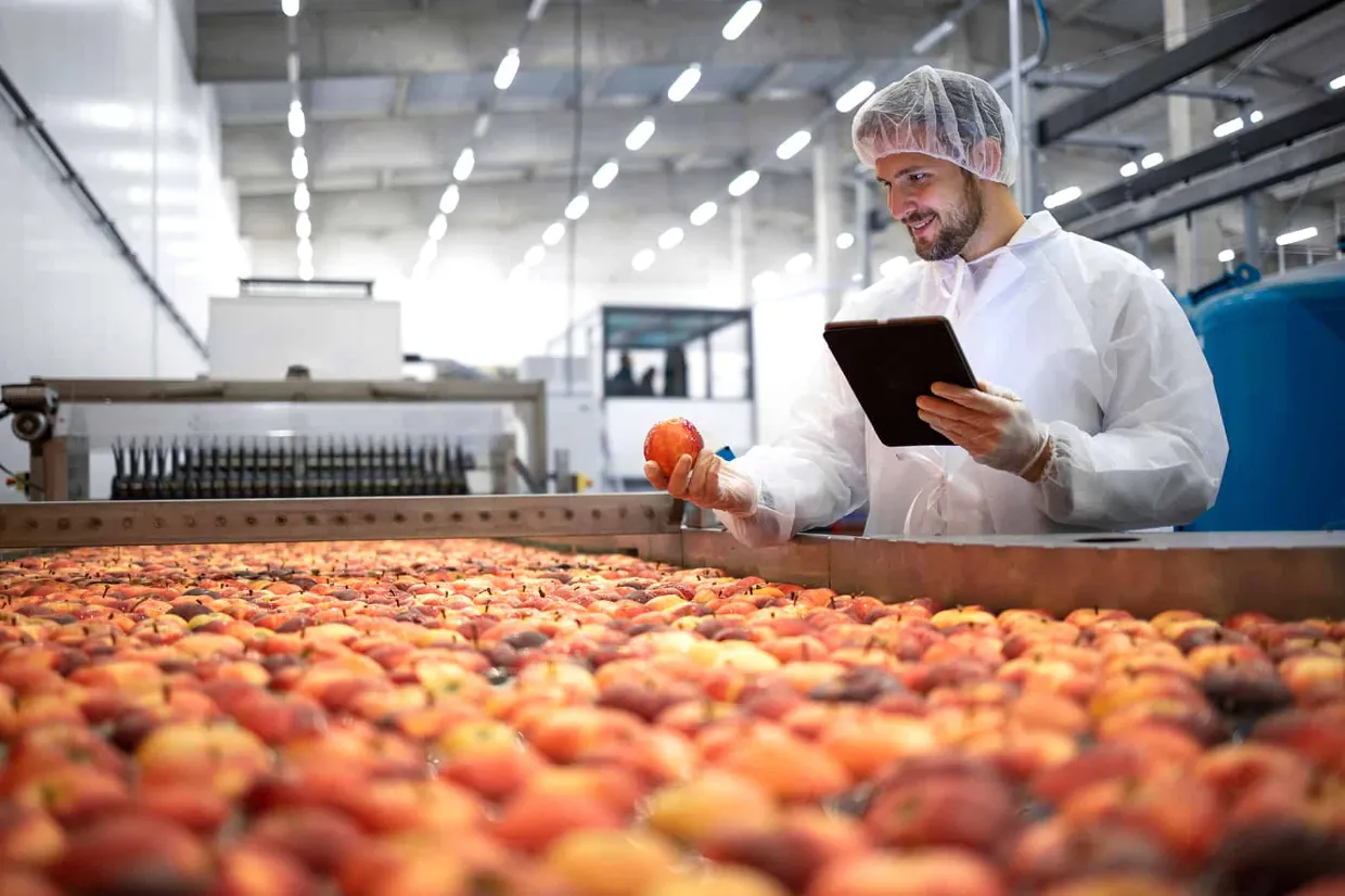 Food production worker inspects apples on a processing line as part of a food quality inspection workflow.