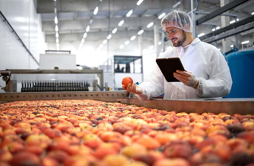 food quality inspection of apples on a conveyor in a factory