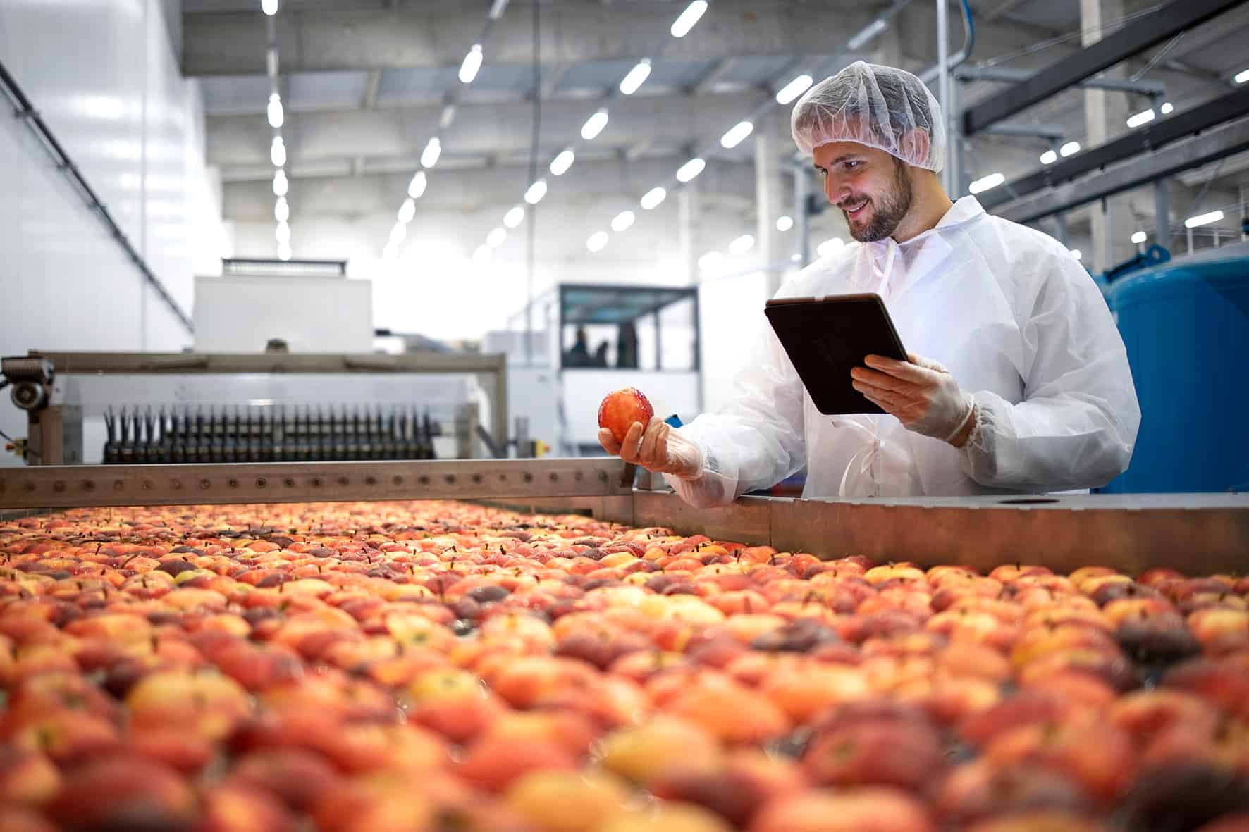 food quality inspection of apples on a conveyor in a factory