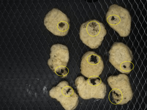 SolVisionが加工食品検査でチキンナゲットを解析し、焦げた部分を欠陥として検出。
