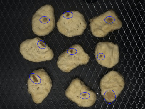SolVisionがAIによる食品の欠陥検査でチキンナゲットを検査し、表面の油分が多い部分を検出。