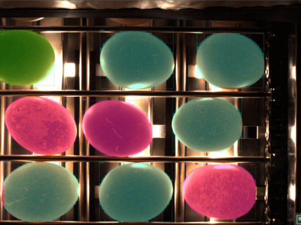 Eggshell hole seam density detection case