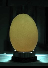 Eggshell hole seam density detection case