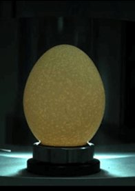 Eggshell hole seam density detection case